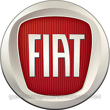 Компьютерная диагностика Фиат Fiat в Гомеле выезд к клиенту