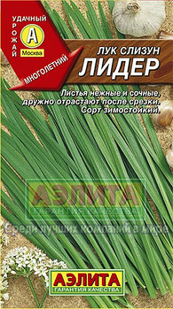 Лук слизун Лидер
