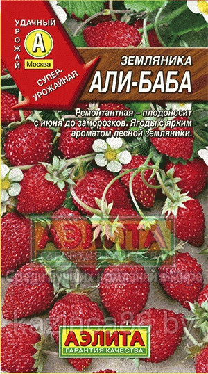 Земляника Али Баба - фото 1 - id-p55470971