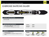 EXERCISE SKATE NIS SILVER