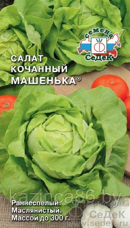 Салат кочанный Машенька