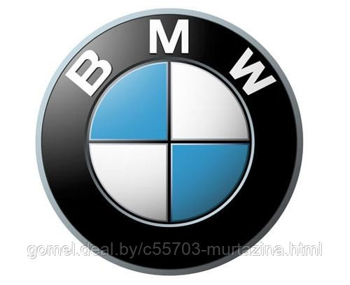 Компьютерная диагностика Бмв Bmw в Гомеле выезд к клиенту - фото 1 - id-p2111488