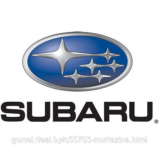 Компьютерная диагностика Субару Subaru в Гомеле выезд к клиенту - фото 1 - id-p2113146