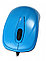 Проводная оптическая мышь SmartBuy SBM-310 USB, 3 кнопки, 1000dpi, blue, фото 2