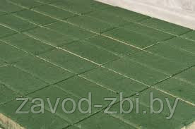 Плитка тротуарная "Прямоугольник"-6 зеленая, фото 2