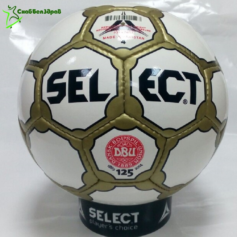 Футбольный мяч Select DBU №4