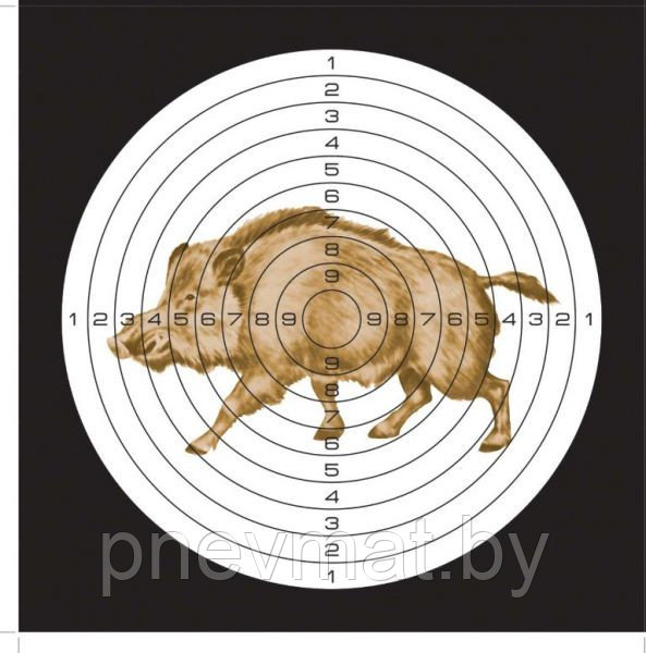 Мишень "Кабан" 10 шт. (140 х 140 мм).