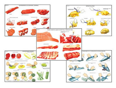 Плакаты ПРОФТЕХ "Первичная обраб. продуктов и приготовление полуфабрикатов" (15 пл, винил, 70х100) - фото 1 - id-p58231969