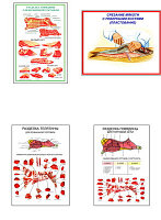 Плакаты ПРОФТЕХ "Разделка мяса" (8 пл, винил, 70х100)