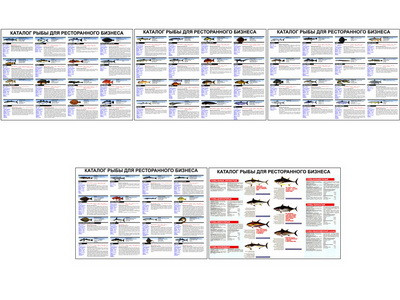 Плакаты ПРОФТЕХ "Каталог рыб для ресторанного бизнеса" (5 пл, винил, 70х100)