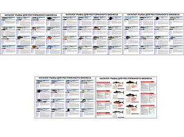Плакаты ПРОФТЕХ "Каталог рыб для ресторанного бизнеса" (5 пл, винил, 70х100)