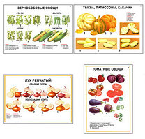 Плакаты ПРОФТЕХ "Ассортимент овощных культур" (12 пл, винил, 70х100)