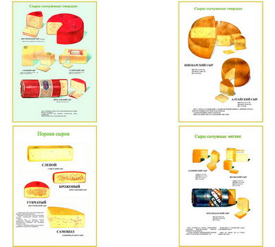 Плакаты ПРОФТЕХ "Ассортимент сыров" (9 пл, винил, 70х100)