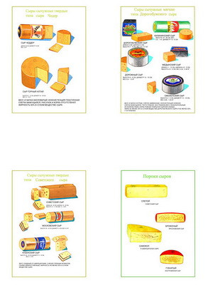 Плакаты ПРОФТЕХ "Ассортимент сычужных сыров" (7 пл, винил, 70х100) - фото 1 - id-p58233426