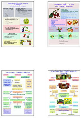 Плакаты ПРОФТЕХ "Классификация овощей и переработка" (8 пл, винил, 70х100)