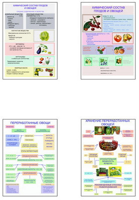Плакаты ПРОФТЕХ "Классификация овощей и переработка" (8 пл, винил, 70х100) - фото 1 - id-p58233477