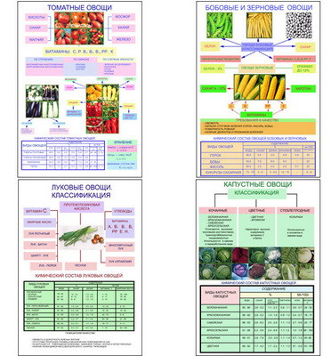 Плакаты ПРОФТЕХ "Классификация овощей" (11 пл, винил, 70х100)