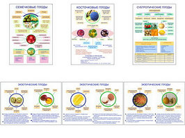 Плакаты ПРОФТЕХ "Плоды" (6 пл, винил, 70х100)
