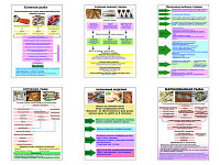 Плакаты ПРОФТЕХ "Технологические схемы приготовления рыбы" (6 пл, винил, 70х100)