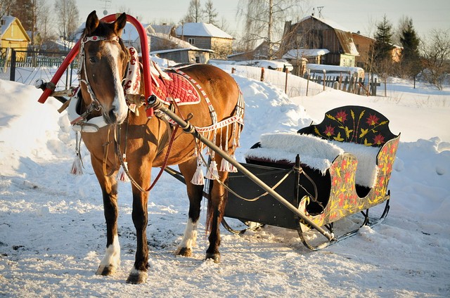 Катание в санях