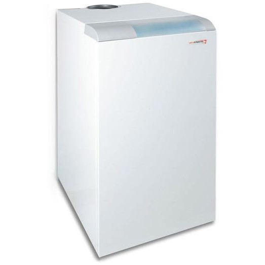 Газовый котел Protherm 50 KLOMR Медведь