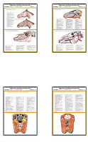 Плакаты ПРОФТЕХ "Топограф. Анатомия. Лошадь. Голова и шея" (33 пл, винил, 70х100)