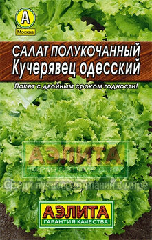 Салат полукочанный Кучерявец одесский