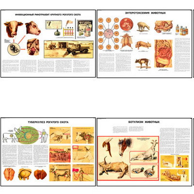Плакаты ПРОФТЕХ "Меры борьбы с заразными заболеваниями с/х животных и птицы" (23 пл, винил, 70х100) - фото 1 - id-p58409322