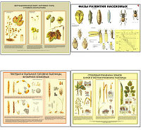 Плакаты ПРОФТЕХ "Вредители и болезни с/х культур и меры борьбы с ними" (11 пл, винил, 70х100)