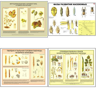 Плакаты ПРОФТЕХ "Вредители и болезни с/х культур и меры борьбы с ними" (11 пл, винил, 70х100) - фото 1 - id-p58432089