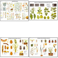 Плакаты ПРОФТЕХ "Вредители и болезни сельскохозяйственных культур" (15 пл, винил, 70х100)