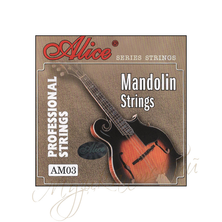 Струны для мандолины (комплект) AM03