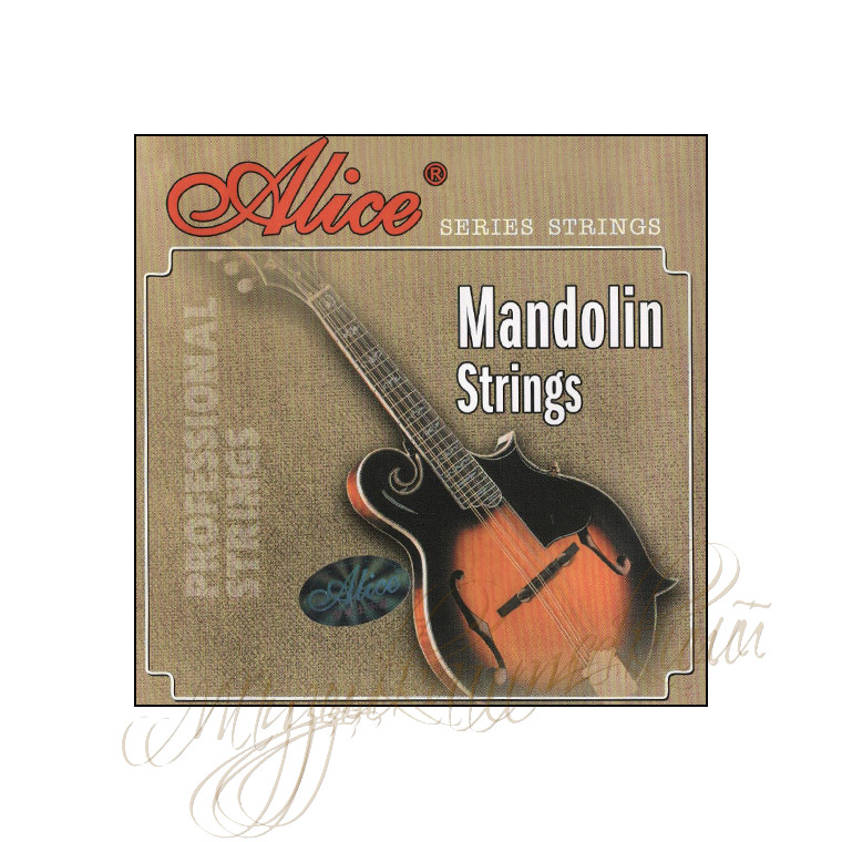 Струны для мандолины (комплект) AM05