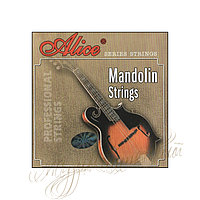 Струны для мандолины (комплект) AM05