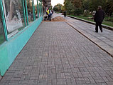 Укладка тротуарной плитки мощение площадок, фото 3