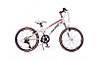 Велосипед BBG-S 20 (бело-красный)