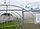 Теплица из поликарбоната ГАРАНТ-Мини (ширина 1,66 м), фото 3