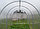 Теплица из поликарбоната ГАРАНТ-Мини (ширина 1,66 м), фото 2