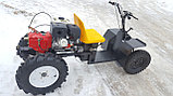 Минитрактор на базе мотоблока Shtenli 1800 и Адаптера Хорсам ИС-1 (18 л.с), фото 6