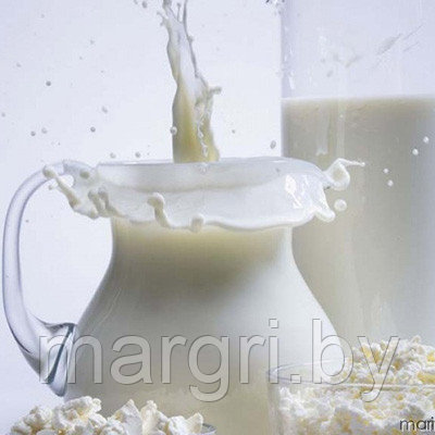 Стабилизаторы для молочных продуктов - фото 1 - id-p59253781