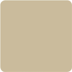 Пигмент для тату  Eternal 15 мл Sepia Light