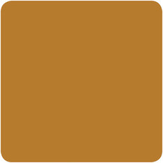 Пигмент для тату  Eternal 15 мл Sepia Medium