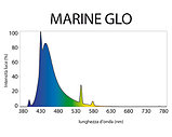 Лампа MARINE-GLO 20W (58,98см), фото 2