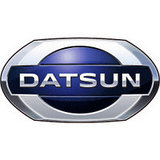 Datsun Коврики в салон и багажник