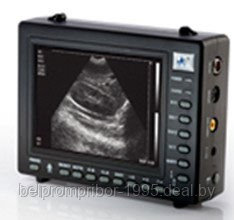 Ультразвуковой ветеринарный сканер WED-2000V - фото 1 - id-p60470108