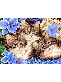 Картина по номерам Котята в цветах 30х40 см, фото 2