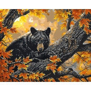 Картина по номерам Мишка на дереве 40х50 см, фото 2