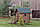 Финская Гибкая Битумная Черепица Kerabit K+ Керабит Зелено-черный Катепал Шинглас Руфлекс, фото 3