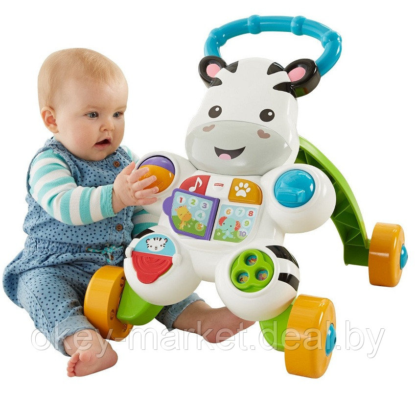 Ходунки-каталка Fisher Price Зебра DPL53 - фото 4 - id-p60655746