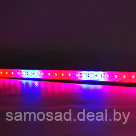 LED фитосветильник для растений 36W (120см)